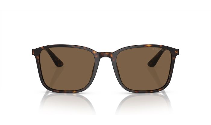 Giorgio Armani AR8197 5026/73 55