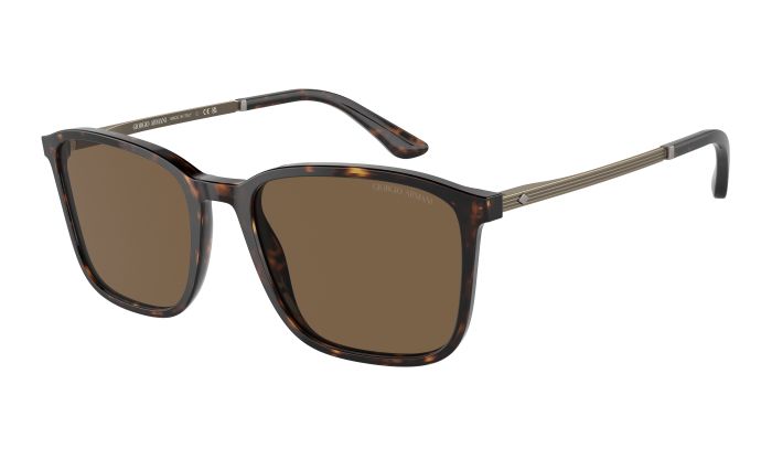 Giorgio Armani AR8197 5026/73 55