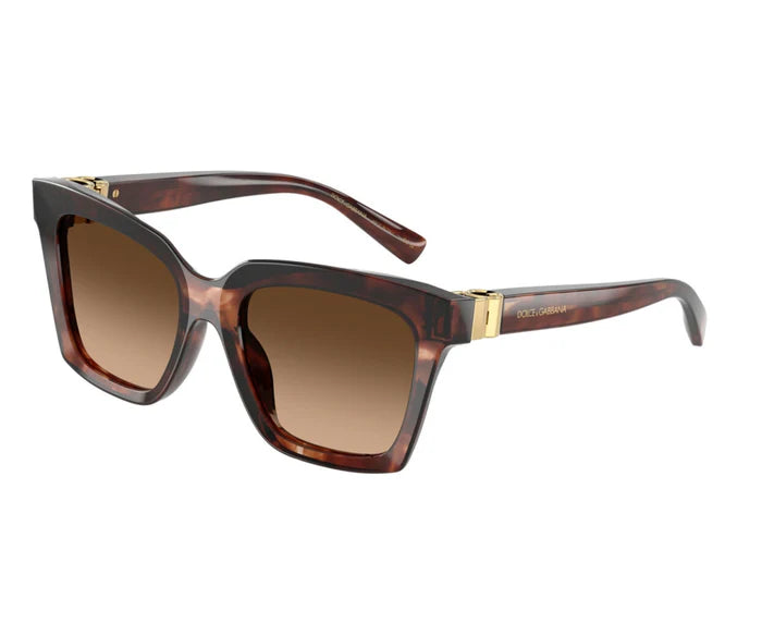 D&G DG4498 3222/74 55