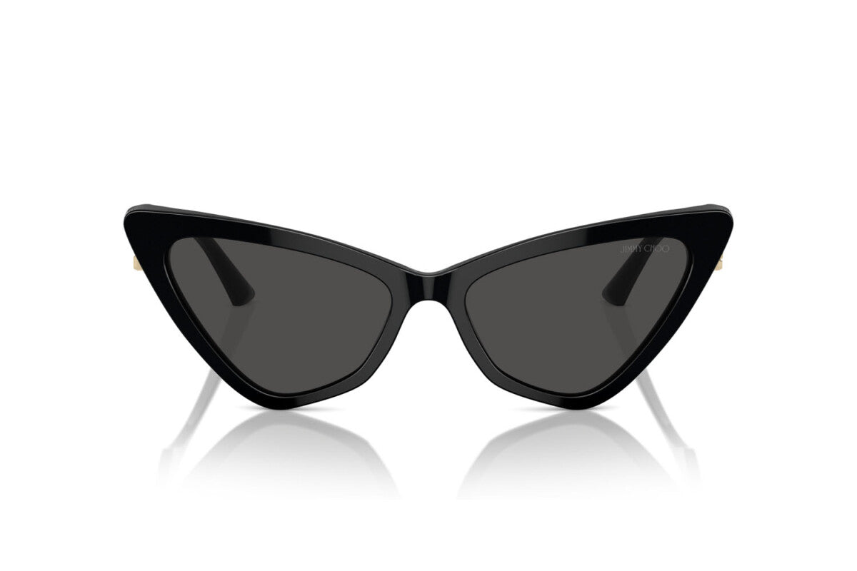 Jimmy Choo JC5008 5000/87 55