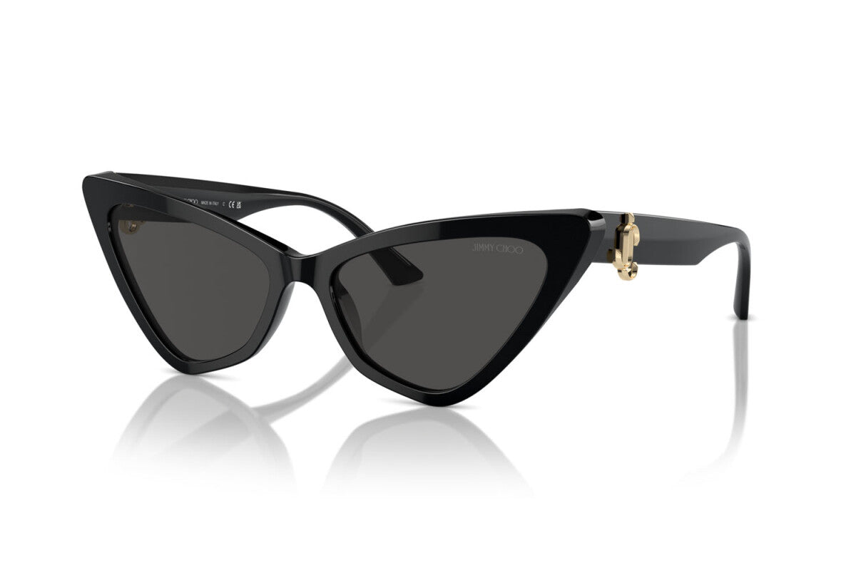 Jimmy Choo JC5008 5000/87 55