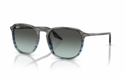 Ray Ban RB2203 1391/GK 52