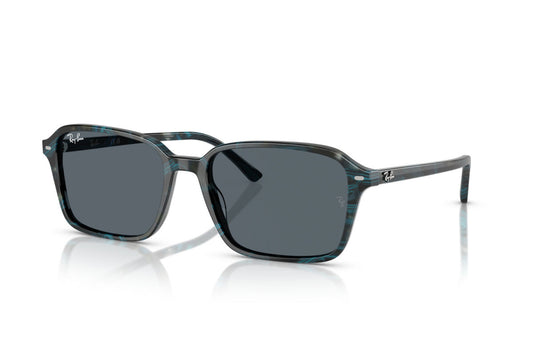 Ray Ban RB2231 1417/R5 56