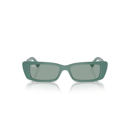 Ray Ban RB4425 6762/82 54