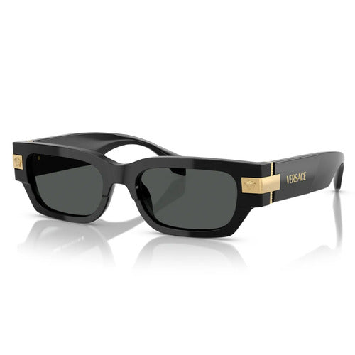 Versace VE4465 GB1/87 53