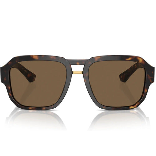 D&G DG4464 502/73 56