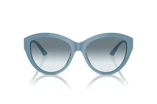 Jimmy Choo JC5007 5012/19 55