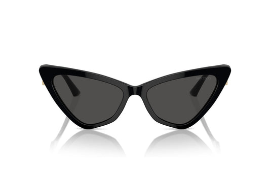 Jimmy Choo JC5008 5000/87 55