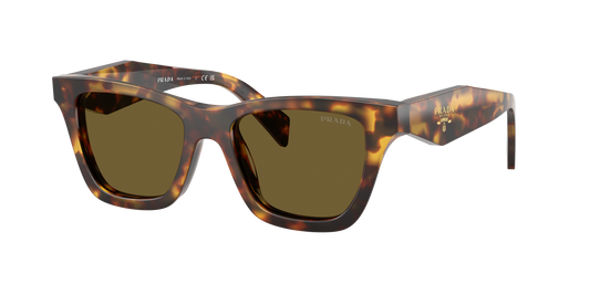 Prada PR C07S 14L09Z 51