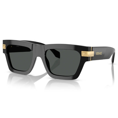 Versace VE4464 GB1/87 55